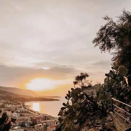 Casanova And To Rent