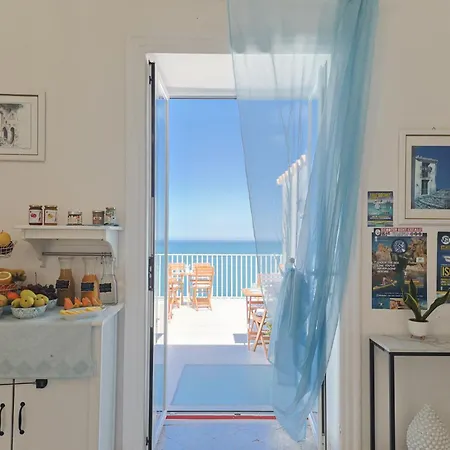 Casanova And To Rent 4*