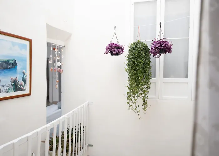 Casanova And To Rent بيت ضيافة